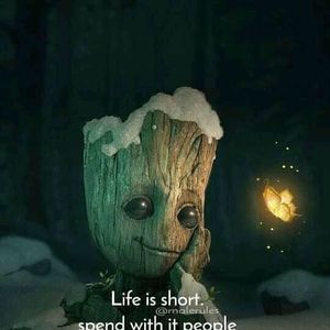 Meet your Posher, Barbara